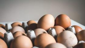 الدلالات الصحيحة لتفسير بيض الدجاج في المنام لابن سيرين