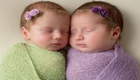 इब्न सिरिन के अनुसार अगर मैंने सपना देखा कि मेरी बहन सपने में जुड़वाँ बच्चे लाती है तो क्या होगा इसकी व्याख्या
