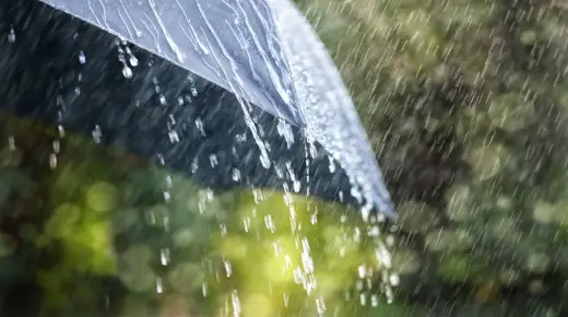 De 20 viktigaste tolkningarna av att se regn i en dröm av Ibn Sirin