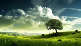 Ibn Sirina svarīgākās 70 interpretācijas, kā sapnī redzēt zaļo zemi