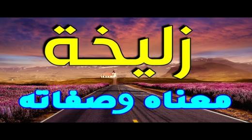 ما معنى اسم زوليخة؟