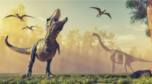 Las interpretaciones más importantes de ver un dinosaurio en un sueño por Ibn Sirin
