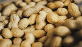 Quae est interpretatio videndi peanuts in somnio secundum Ibn Sirin?