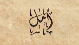 Tafsiri 20 muhimu zaidi za Ibn Sirin kutafsiri jina Amal katika ndoto