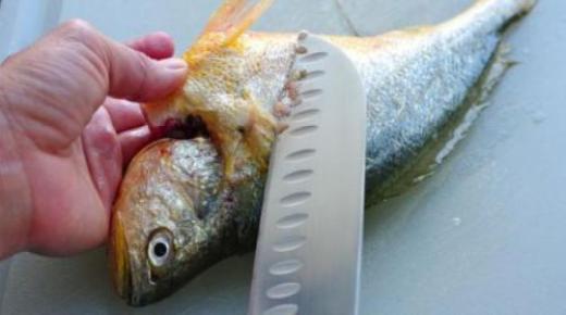 ما تفسير تنظيف السمك في المنام للمتزوجة؟